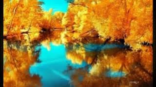 Sergey Grischuk - The Colors of Autumn