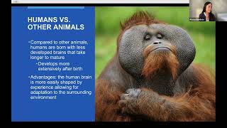 Brain Bee 2025 BrainFacts Ch6-10