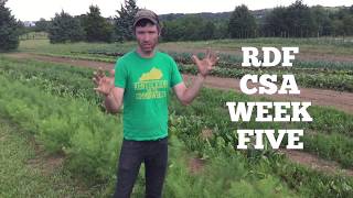 Rough Draft Farmstead CSA Week Five