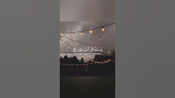 اجمل حالات واتس اب قران كريم بصوت جميل جدا ناصر القطامي 🎧💖 تلاوة خاشعة ومؤثرة🌸🍃 Quran status
