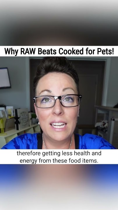 why-a-raw-food-diet-beats-a-cooked-diet-for-our-cats-youtube