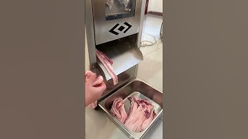 Vertical meat slicer Multifunctional meat slicer for cutting meat into slices #viralvideo #youtube