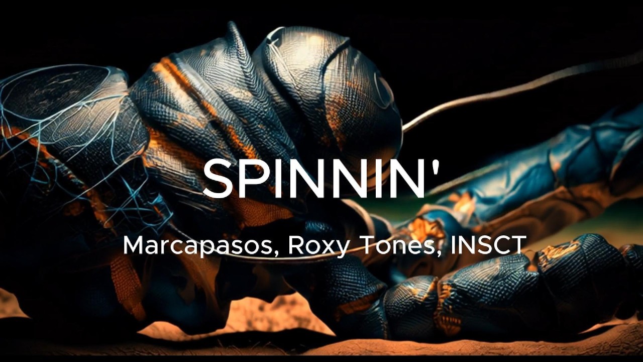 Watch Roxy Tones, Marcapasos, INSCT - Spinnin' on YouTube Watch Roxy Tones, Marcapasos, INSCT - Spinnin' on YouTube
