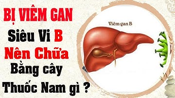 Tôi Bị Viêm Gan B - Nên Điều Trị Bằng Cây An Xoa Hay cà gai leo ?