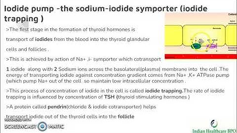 Thyroid Gland - Tamil chapter