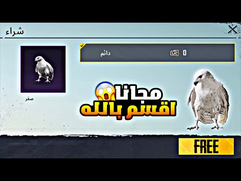 فيديو: دعم قلم رصاص ، صندوق مجوهرات وحامل PC من ManoMano