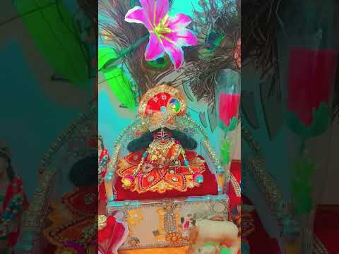 Thakur hamare pranon Se pyare Radhe Radhe Jay Shri Krishna ♥️🙏🙏♥️♥️