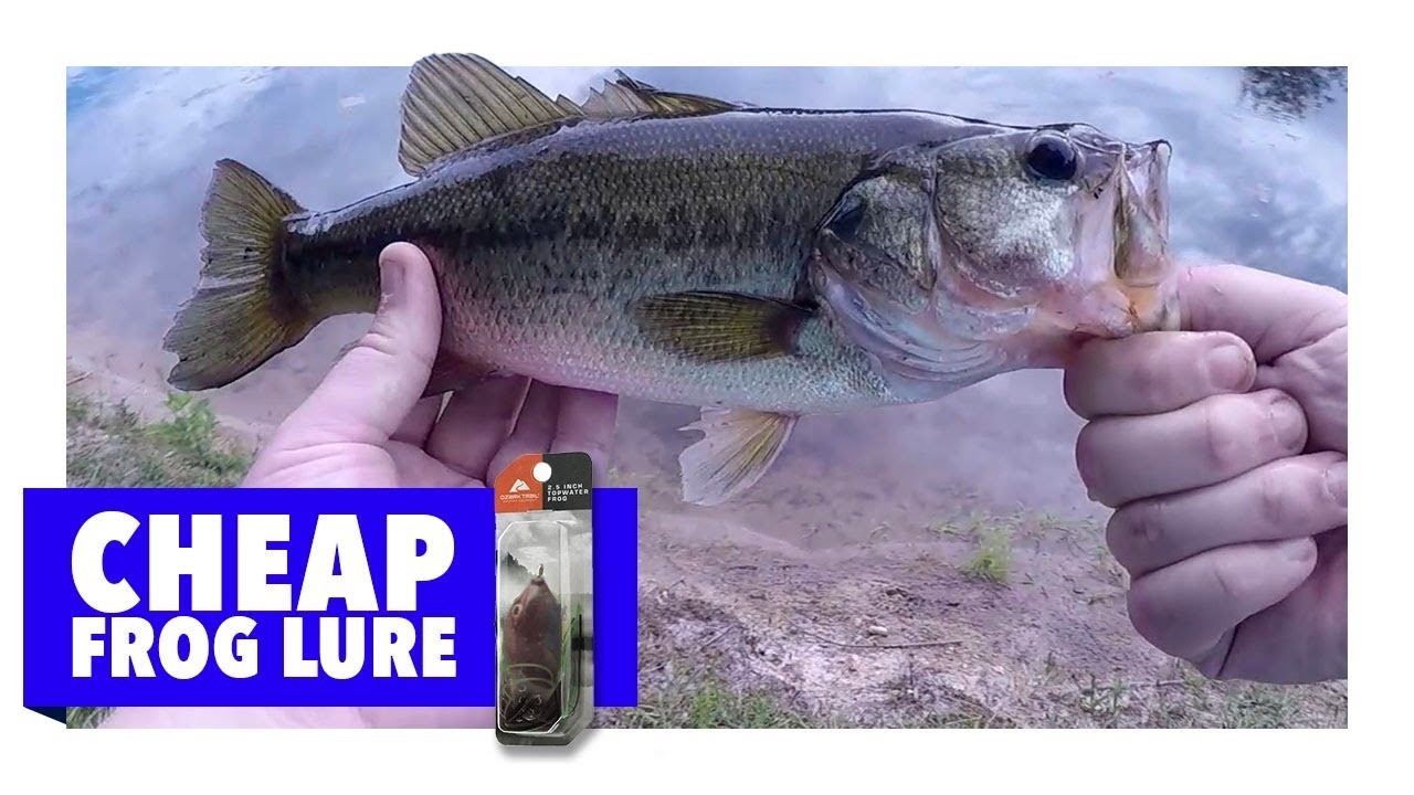 Catching Bass with Cheap Walmart Frog Lure - Ozark Trails 