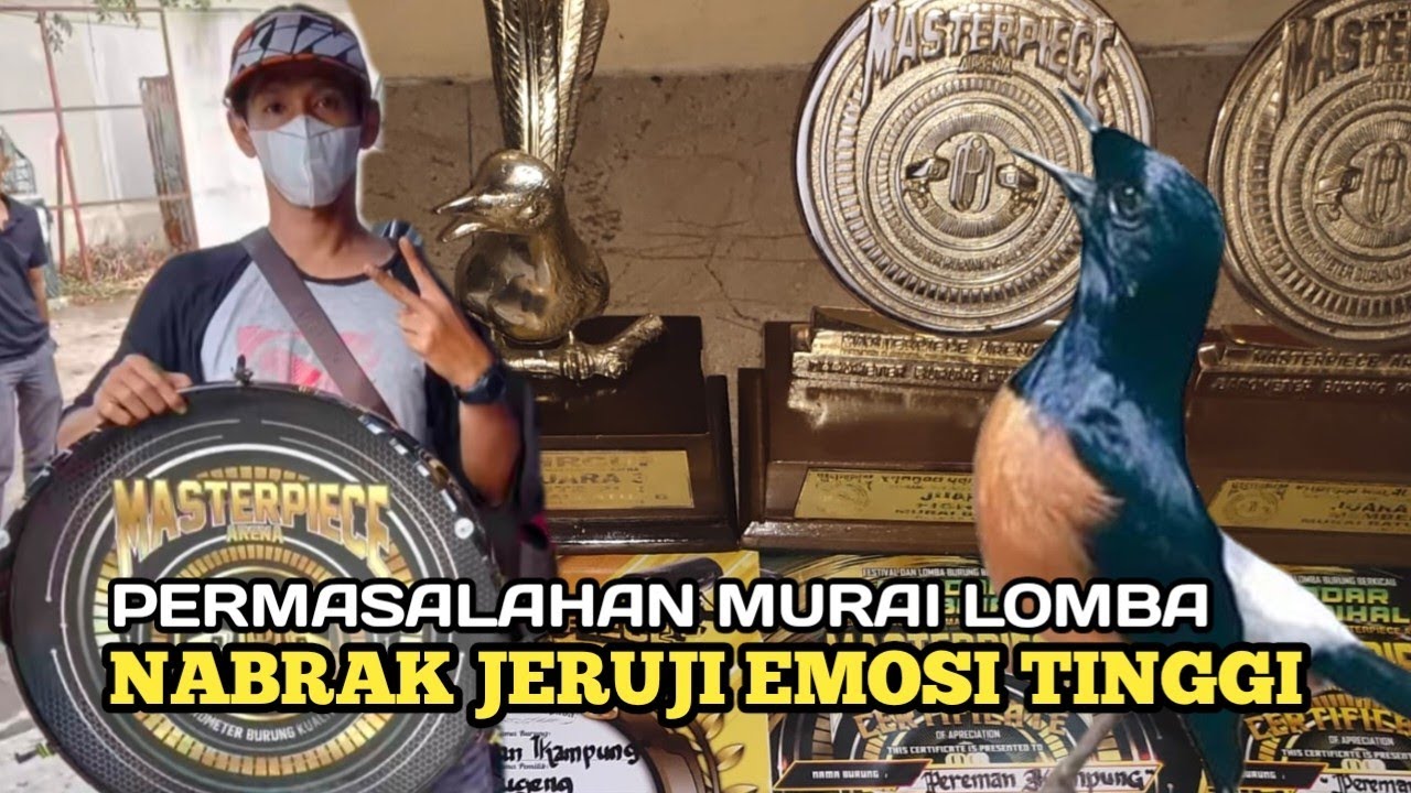 murai nabrak jeruji emosi tinggi