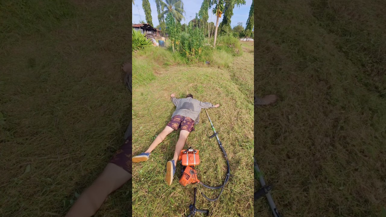 Я попробовал запретный матча