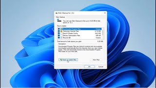 how to run disk cleanup on windows 11 {tutorial]