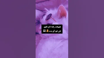 كيف تكوني بنت وما تعرفي هذة التطبيقات تطبيقات ستغير حياتك Shorts 