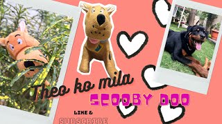 #vlog 40 | Rottweiler Theo bhola hai ya aggressive? #dog #aggressivedog #theotales #yt  #cute #pup