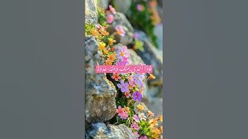 سورة فصلت آيه 34 #مصر #اكسبلور #حالات_واتس #تيك_توك #راحة_نفسية #shortvideo #duet #voiceeffects