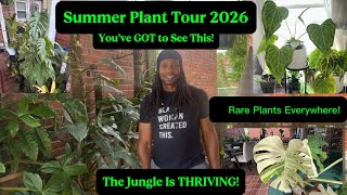 Summer 2026 House Plant Tour | Rare Aroids, Huge Growth & Plant Collection Update 🌿