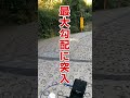 【130万回再生】まさかの立ちゴケ!よい子はマネしないでね!大型バイクで暗峠チャレンジしたら転倒した#Shorts