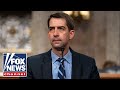 Sen. Cotton: Our adversaries are taking advantage of us at every turn