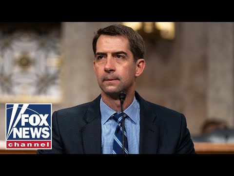 Sen. Cotton: Our adversaries are taking advantage of us at every turn