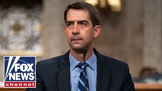 Sen. Cotton: Our adversaries are taking advantage of us at every turn screenshot 4
