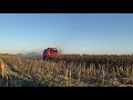 Збирання соняшника Суміко від Сингента.  Massey Ferguson 38RS  in action. 01.10.2021.