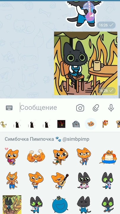 Симбочка пимпочка #тигра #мурсдей #симба - YouTube