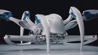 Festo – BionicWheelBot EnglishDeutsch