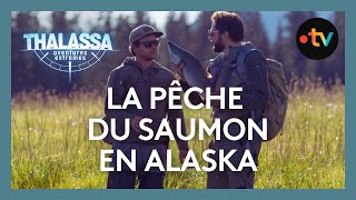 Comment pêcher le saumon sauvage (en Alaska) ?  Thalassa