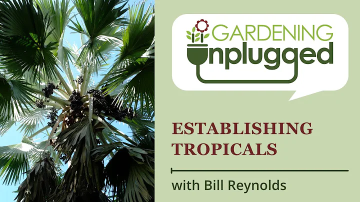 Gardening Unplugged - Establishing Tropical Plants...
