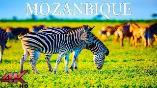 Mozambique In 4K UHD - Relaxation Film - Relaxing Music With Beautiful Nature Videos - 4K Video screenshot 2