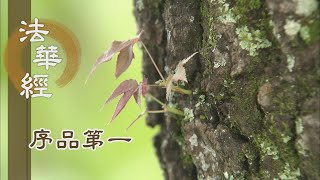 【靜思妙蓮華】法華經序品第一 - 佛佛道同 悲智雙運 - 20200124 第131集