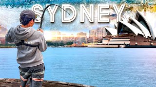 9 Days Fishing Australias Most Urban City - Sydney Harbor