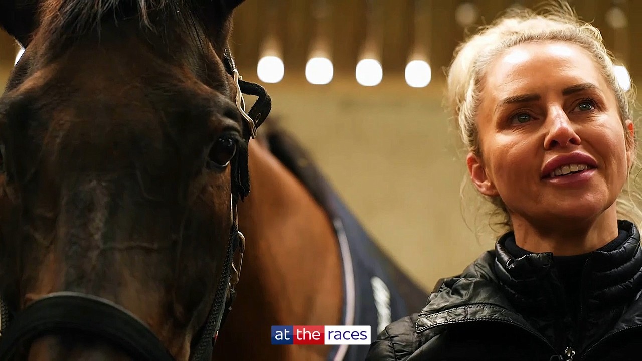 Curtis chasing Cheltenham Gold Cup glory with dream horse Haiti Couleurs 🏆