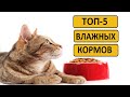 Лучшие влажные корма для кошек | Рейтинг топ 5