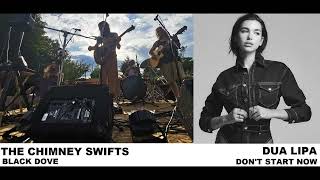 Dua Lipa - Don't Start Now (Acoustic Mashup) The Chimney Swifts - Black Dove