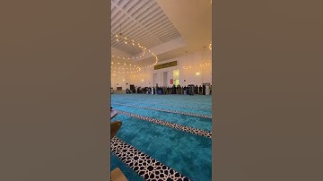 عمر الحسان تلاوة هادئة