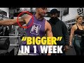 5 EXERCISES (you must try) FOR BUILDING BIG SHOULDERS FAST!