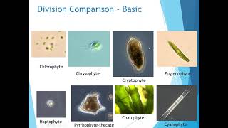 Algae Ecology, Identification, and Control Workshop   PART 1