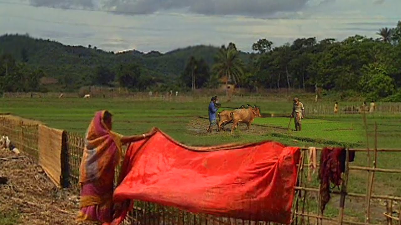 চট্টগ্রামের লোহাগাড়া জনপদ (২০০৬)