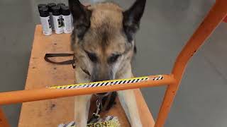 Thomas Riding The Cart In Home Depot...he Loves To Ride On The Carts.