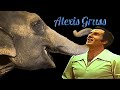 Cirque national gruss alexis gruss jr avec les lphants 1973