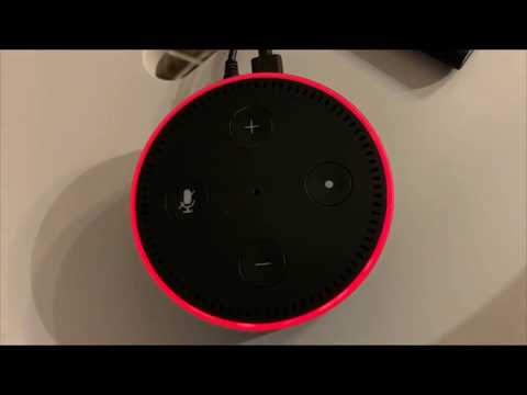 (Solved) Alexa says "Sorry, I'm having trouble understanding you right now"