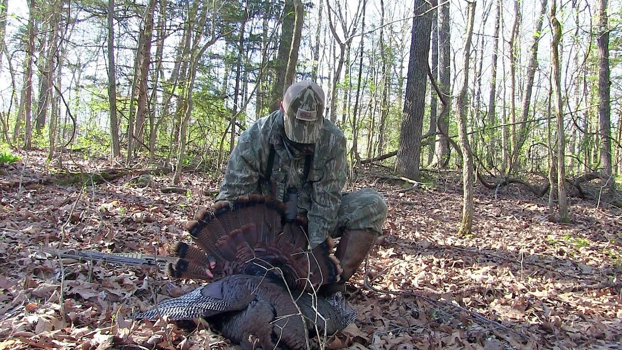 Public land Turkey Hunting YouTube