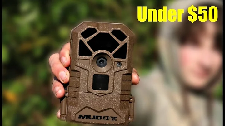 Discover the Best Budget Trail Camera - Muddy Hunter 14 Review