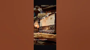 وا اشد انواع الوحدة هي واحدة هي وحدة الزحام 