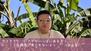 たれぞうの現在 事故で死亡や行方不明の真相は 人気youtuber 女性が映えるエンタメ ライフマガジン たれぞうの現在 事故で死亡や行方不明の真相は 人気youtuber 女性が映えるエンタメ ライフマガジン