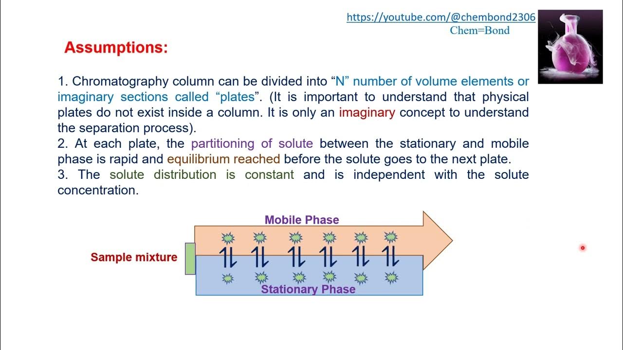 Plate theory and theoretical plates - YouTube