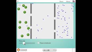 Diffusion Osmosis two membranes