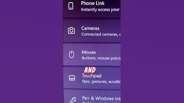 Custom mouse cursor window 11