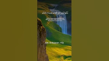 آيات بينات من الذكر الحكيم بصوت رائع وجميل ❤ #القرآن_الكريم #اكسبلور #المصحف #المغرب