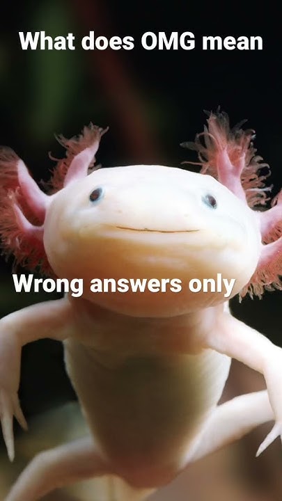 What Does O M G Mean Wrong Answers Only YouTube what-does-o-m-g-mean-wrong-answers-only-youtube